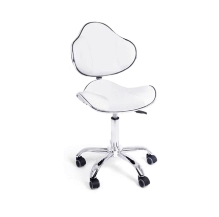 Pomoćna stolica Anatoma